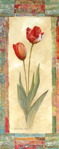 Tulip Montage