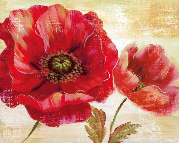Passion For Poppies I