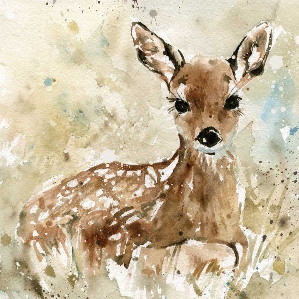 Fawn In Spring