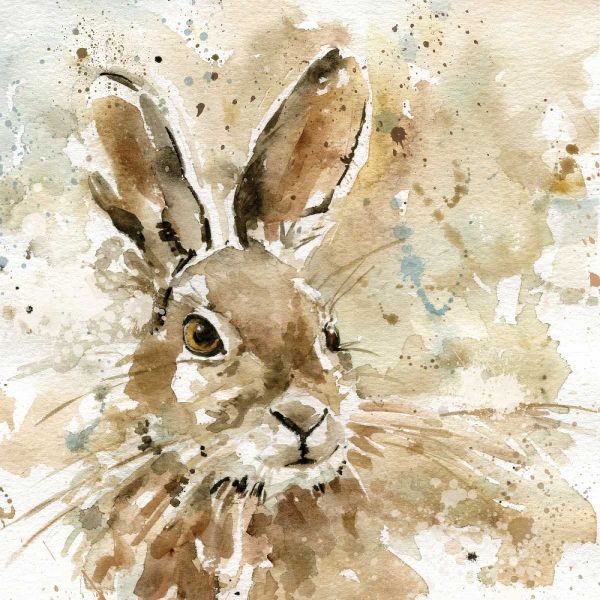 Hare In Spring