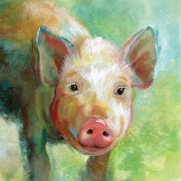 Colorful Quirky Pig