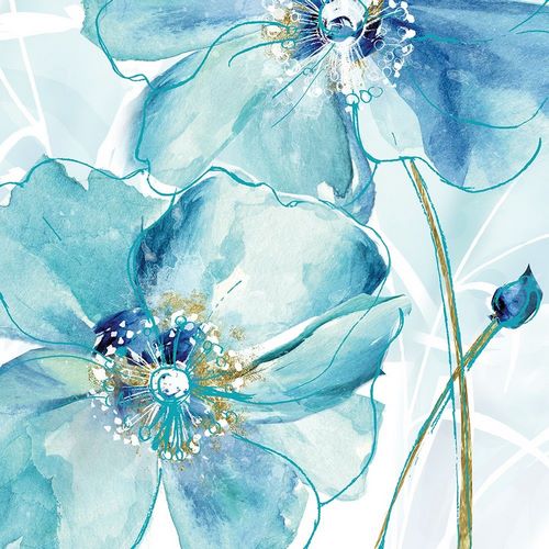 Blue Spring Poppy