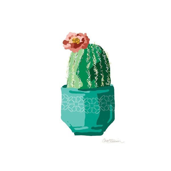 Cute Cactus IV