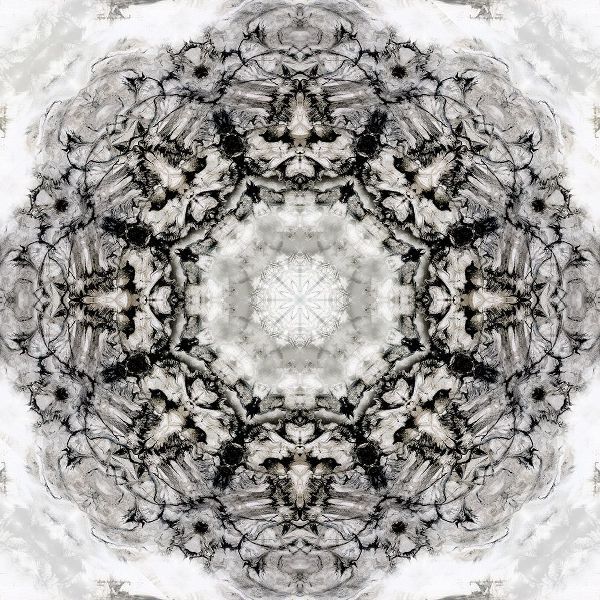 Black White Kaleidoscope