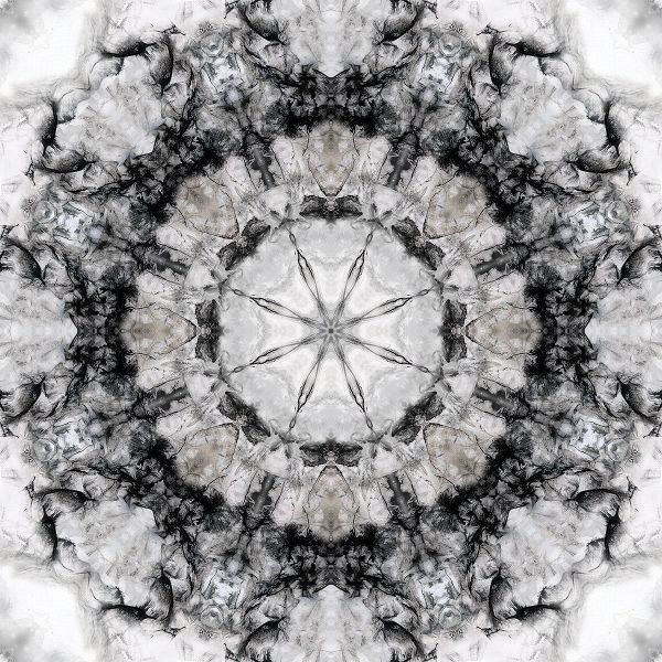 Black White Kaleidoscope