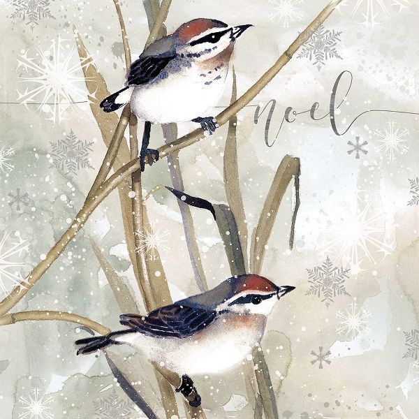 Winter Birds Noel