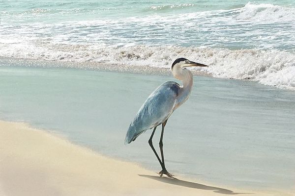 Beach Set Heron