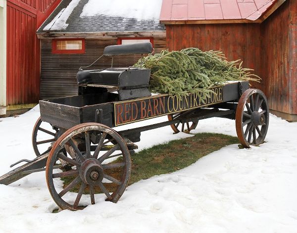 Country Store Wagon