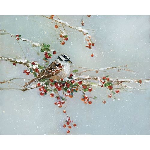 Woodpecker in Winter
