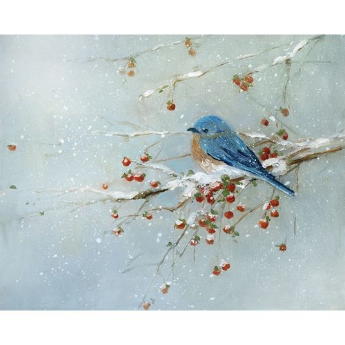 Blue Bird in Winter