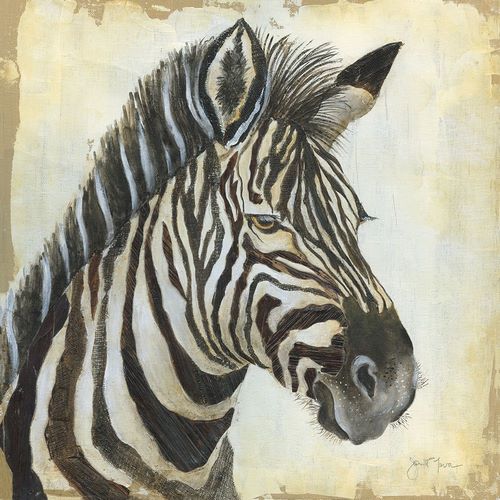 Patterned Zebra