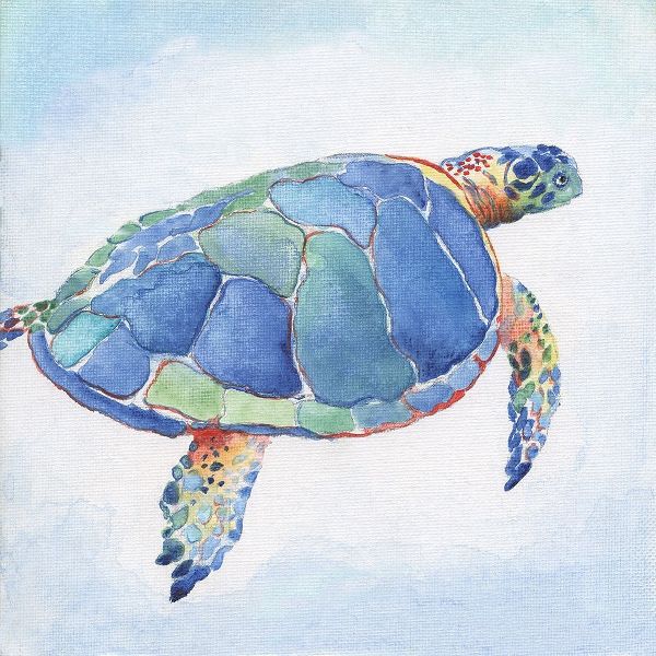Galapagos Sea Turtle I