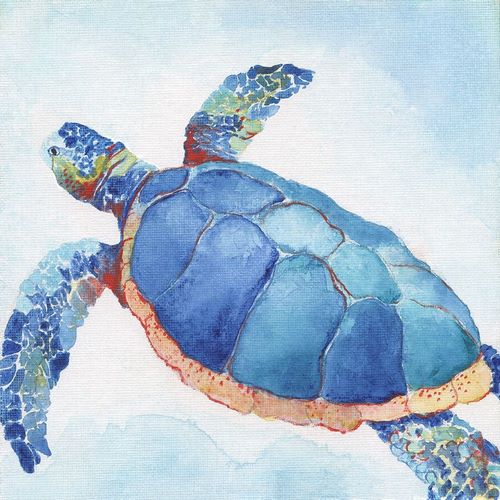 Galapagos Sea Turtle II