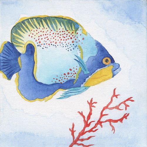 Galapagos Fish I