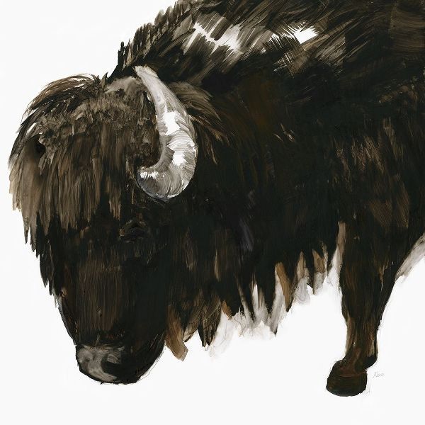 Bison Bull