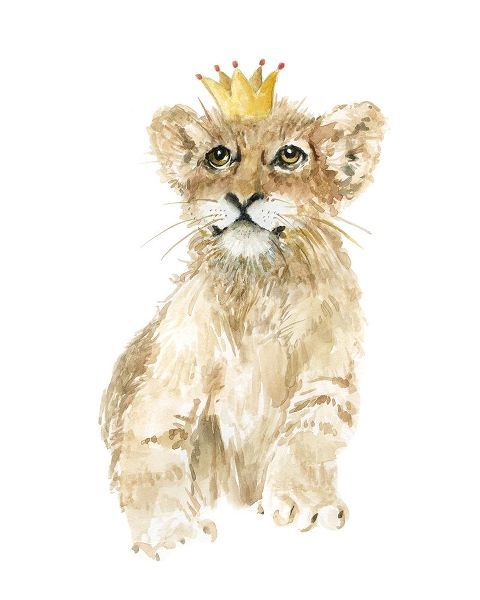 Savannah Lion Cub