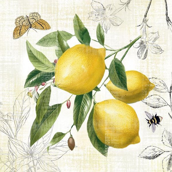 Linen Lemons II