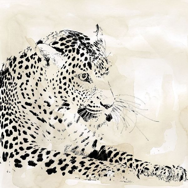 Leopard Spots I