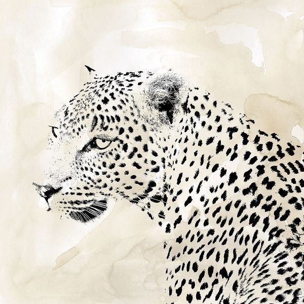 Leopard Spots II