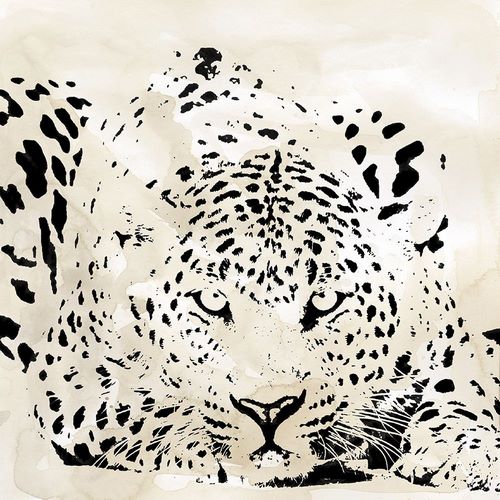 Leopard Spots III