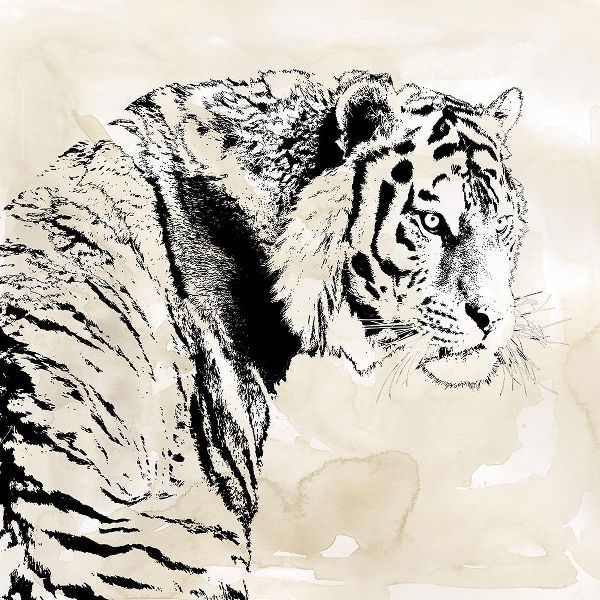 Tiger Stripes I