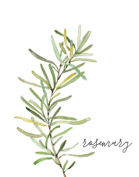 Fresh Sprig Rosemary