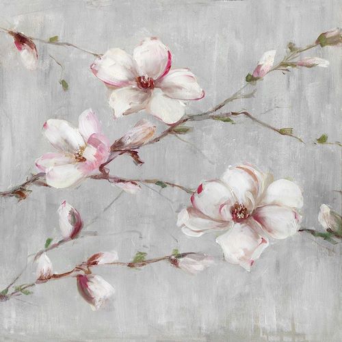 Magnolia Spring I