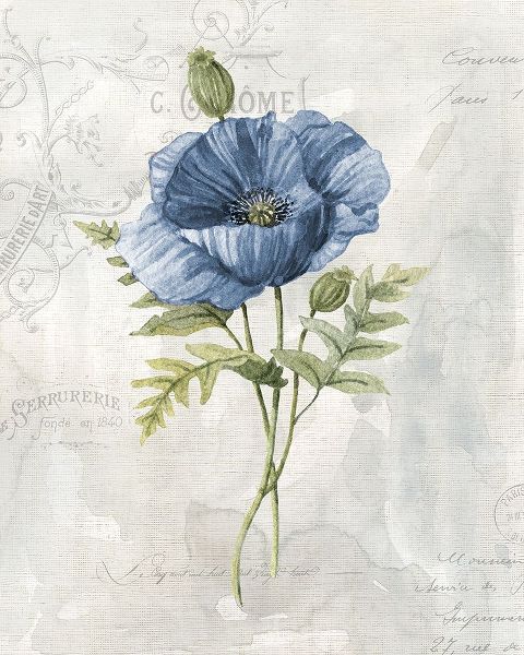 Blue Linen Poppy