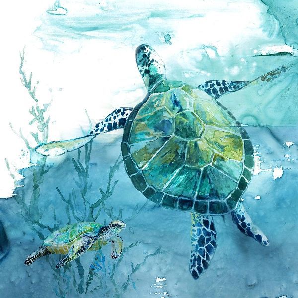 Delray Sea Turtle II