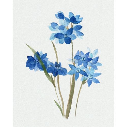 Blue Blossom Botanical I