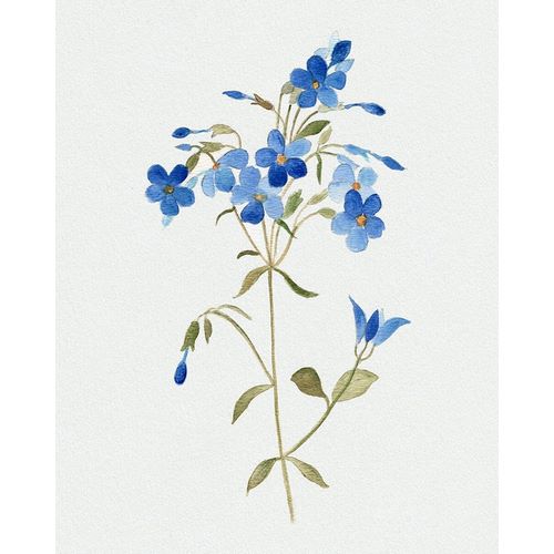 Blue Blossom Botanical II