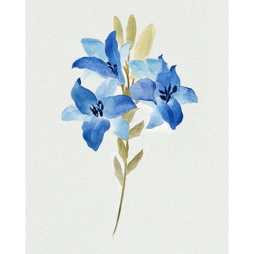 Blue Blossom Botanical III