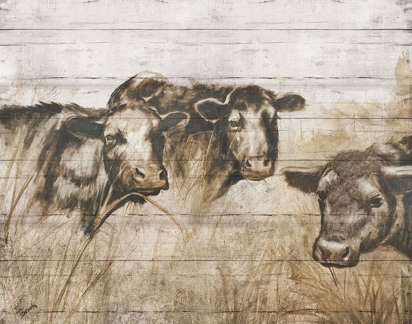 Sepia Cows