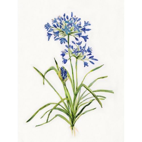 Blue Lively Botanical I