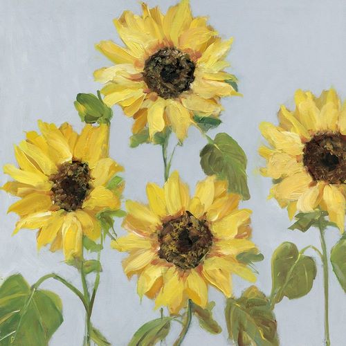 Sunflower Array II