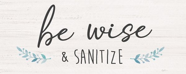 Be Wise and Sanitize