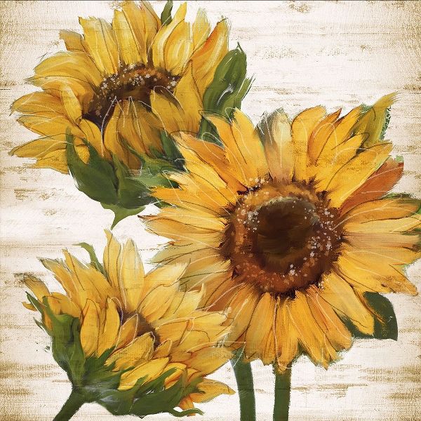 Sunflower Summer I