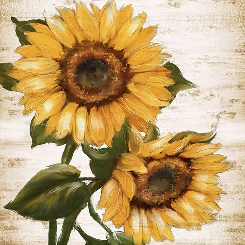 Sunflower Summer II