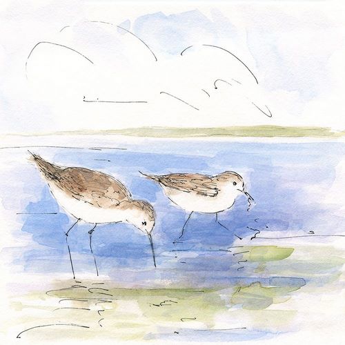 Sketchy Shore Birds I