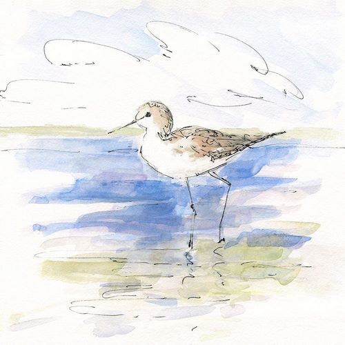 Sketchy Shore Birds II