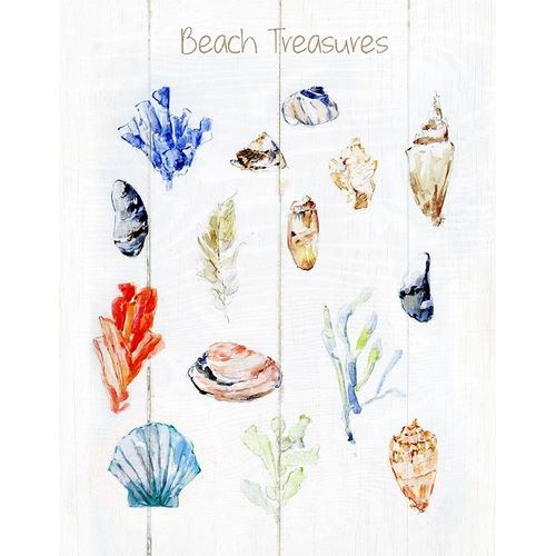 Beach Treasures