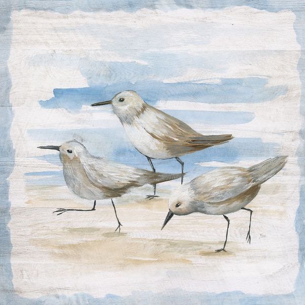 Shore Birds II