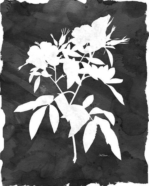 Black Botanical I