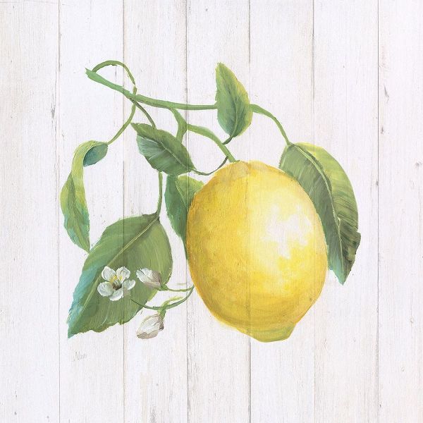 Lemon Fresh I