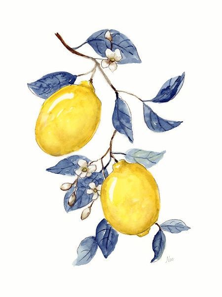 Odyssey Lemons II