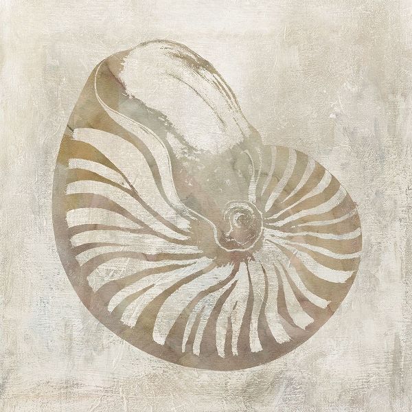 Seashell Illusion I