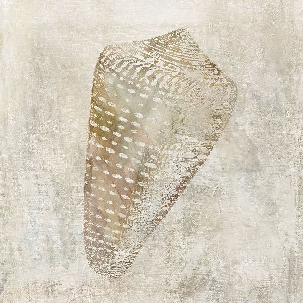 Seashell Illusion II