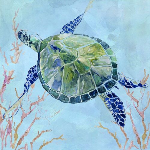 Sea Turtle II