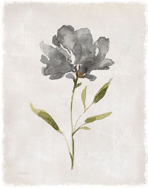 Robinson, Carol 아티스트의 Botanical Beauty II작품입니다.