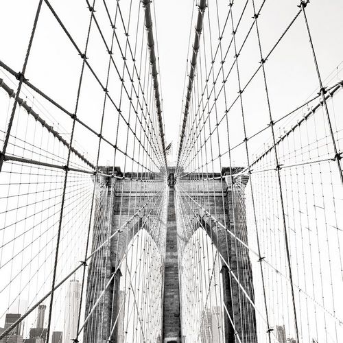 Carpentieri, Natalie 아티스트의 Brooklyn Bridge 작품